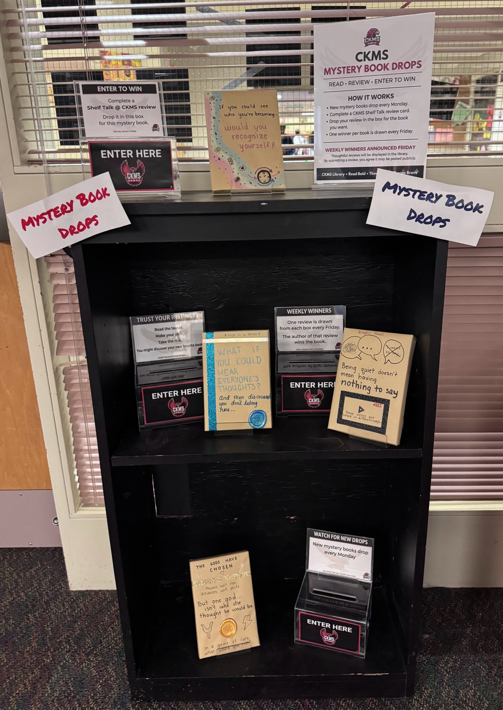 Mystery Book Drop No. 3 – A New&nbsp;Home!